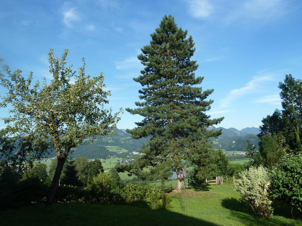 Pension Schoene Aussicht 쿠흘 외부 사진